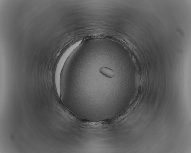X0000115090524200911101526