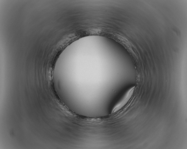X0000115090525200911101526
