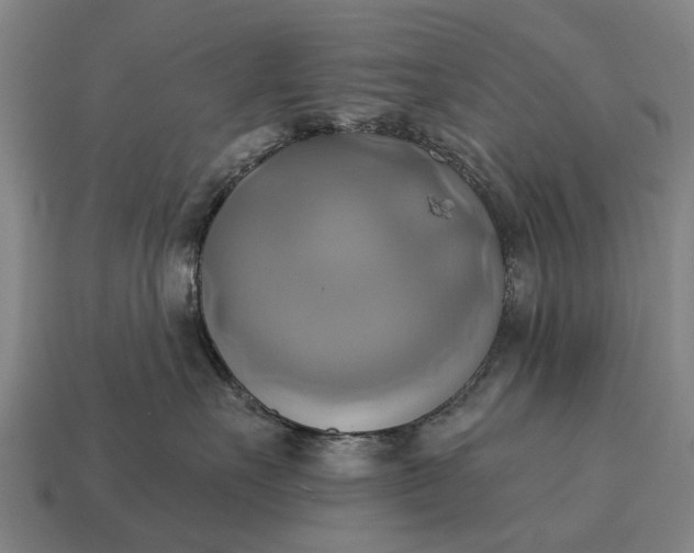 X0000115090527200911101526