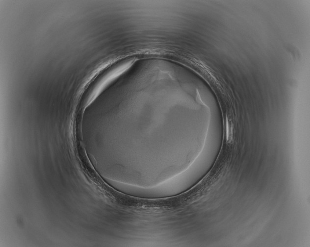 X0000115090531200911101526