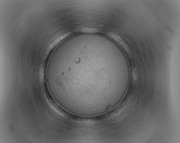 X0000115090533200911101526