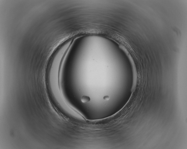 X0000115090534200911101526