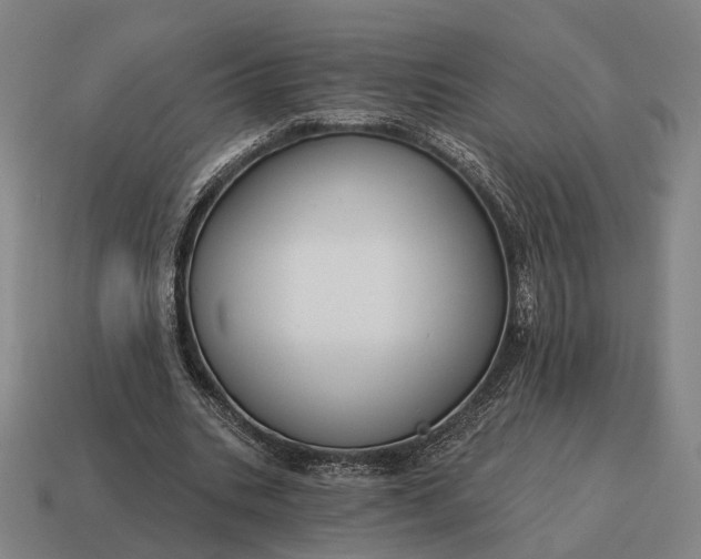 X0000115090535200911101526