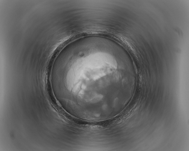 X0000115090539200911101526