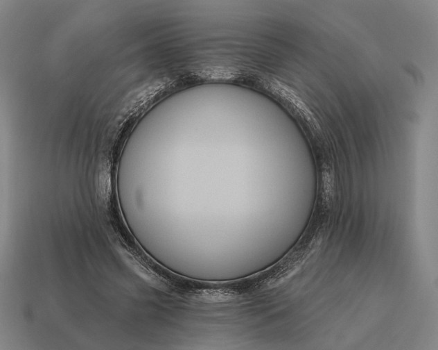 X0000115090541200911101526