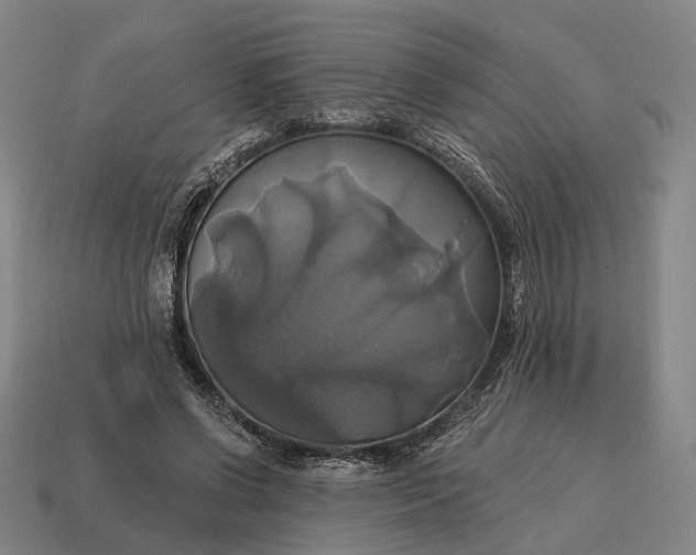 X0000115090542200911101526