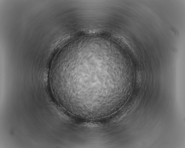 X0000115090545200911101526