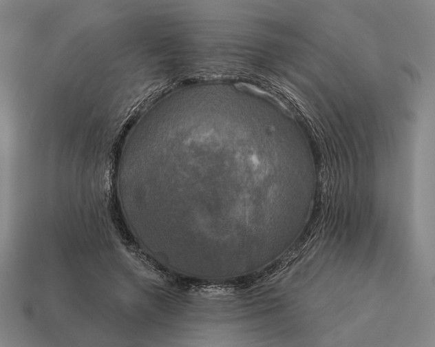 X0000115090546200911101526