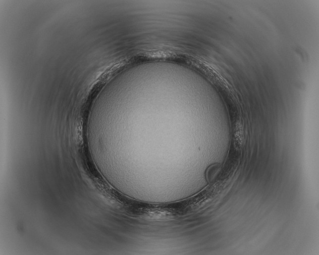 X0000115090547200911101526