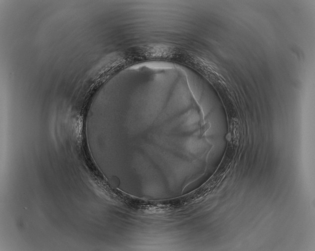 X0000115090550200911101526