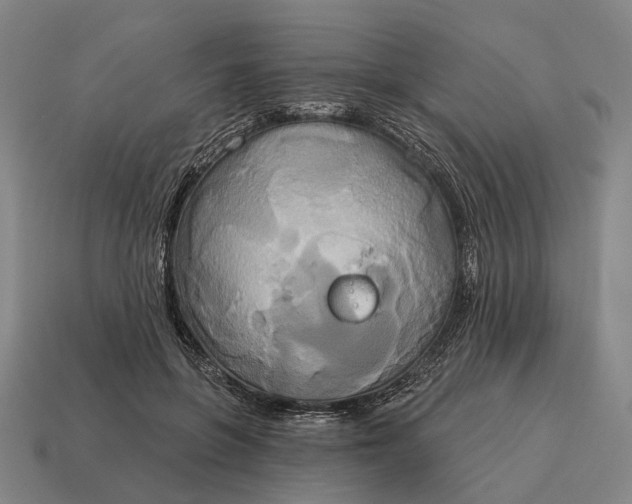 X0000115090551200911101526