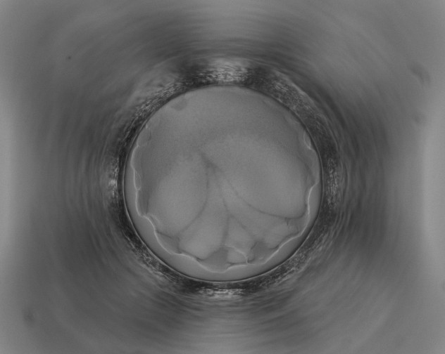 X0000115090553200911101526