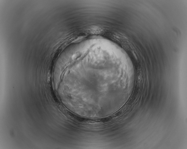 X0000115090555200911101526