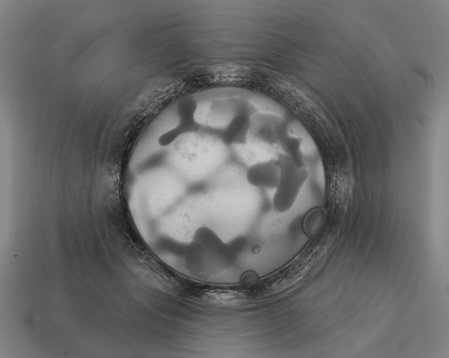 X0000115090557200911101526