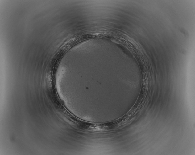 X0000115090558200911101526