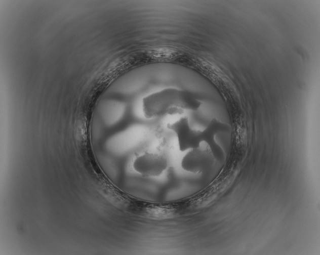 X0000115090561200911101526
