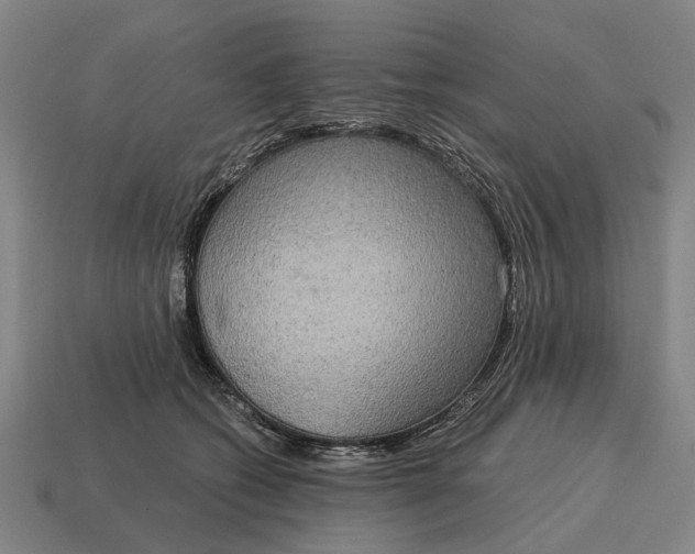 X0000115090562200911101526