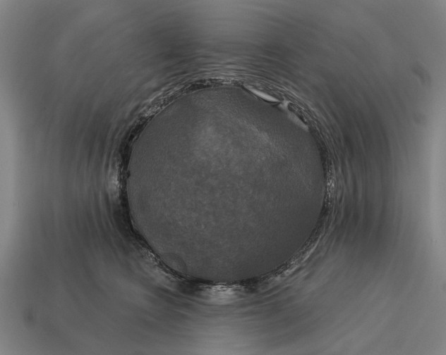 X0000115090566200911101526