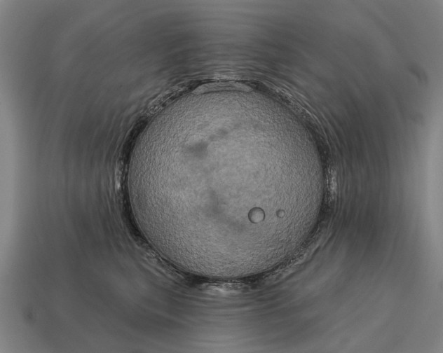 X0000115090567200911101526