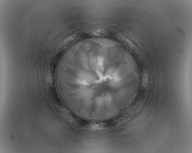 X0000115090569200911101526