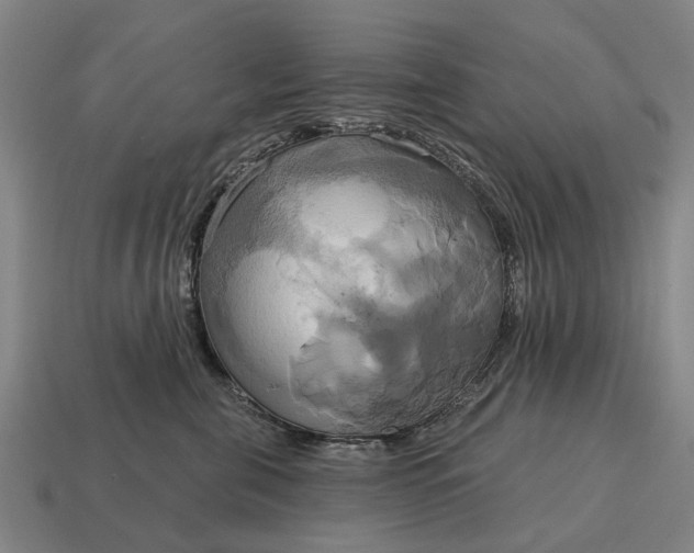 X0000115090571200911101526