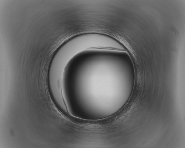 X0000115090577200911101526