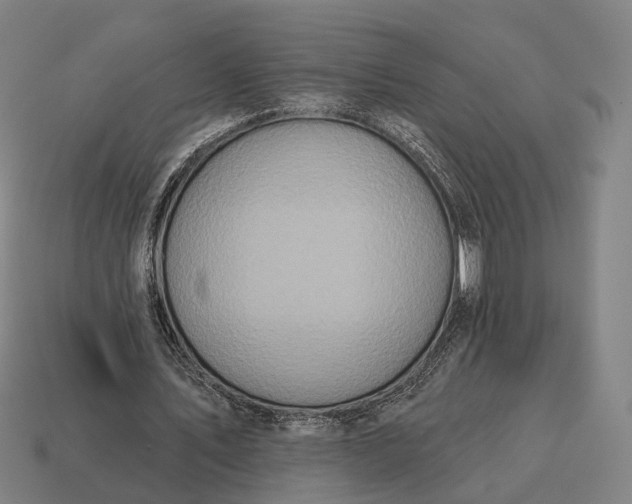 X0000115090579200911101526