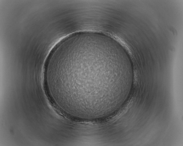 X0000115090580200911101525