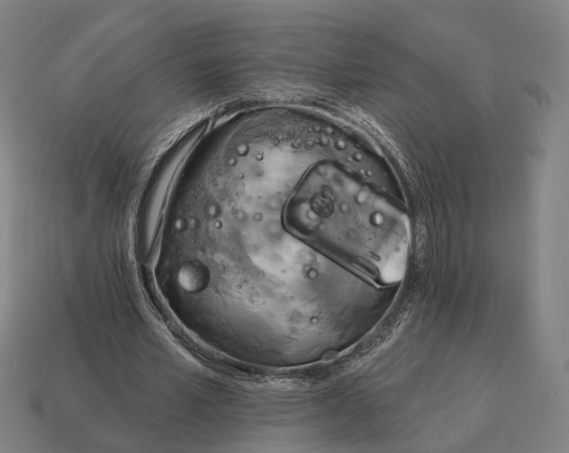 X0000115090581200911101525