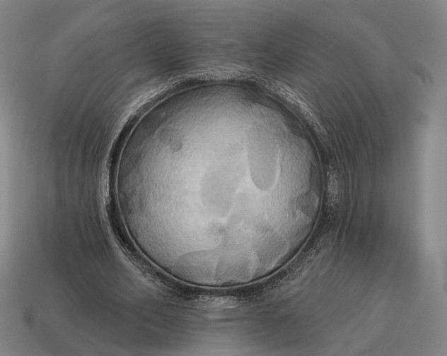 X0000115090582200911101525