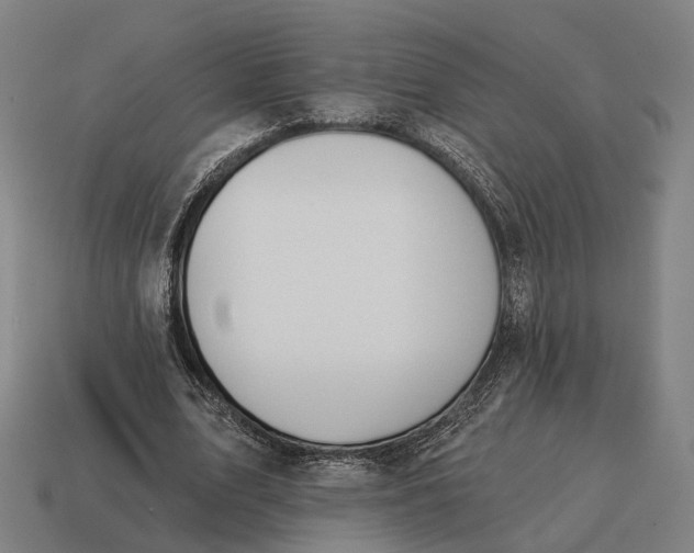 X0000115090583200911101525