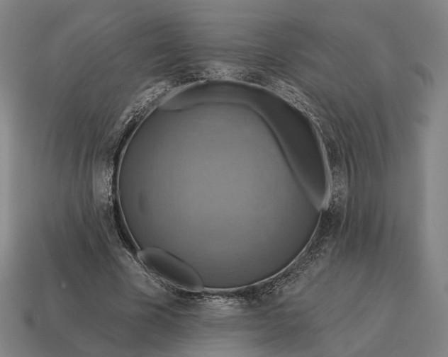 X0000115090585200911101525