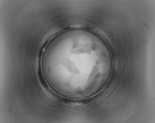 X0000115090586200911101525