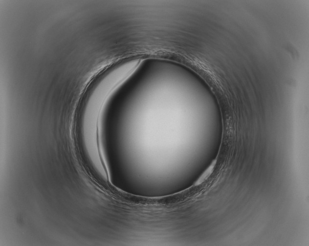 X0000115090587200911101525