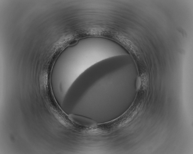 X0000115090589200911101525