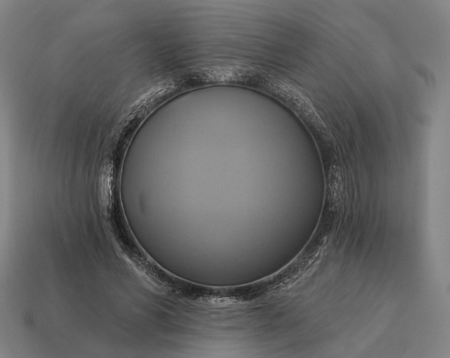 X0000115090590200911101525