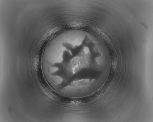 X0000115090591200911101525
