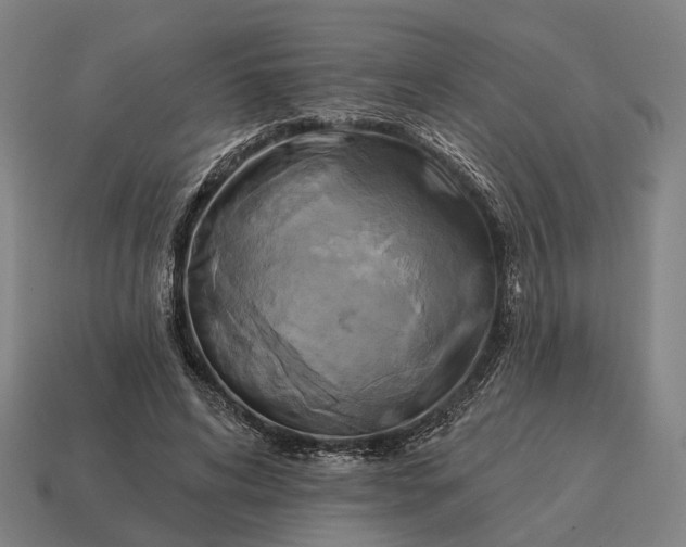 X0000115090592200911101525
