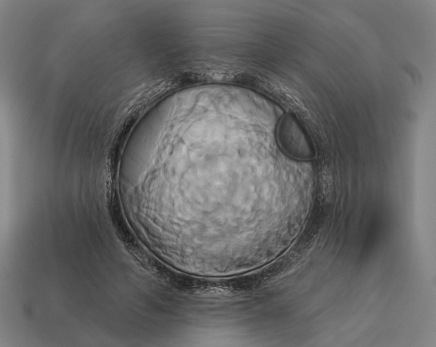 X0000115090594200911101525