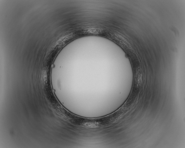 X0000115090595200911101525