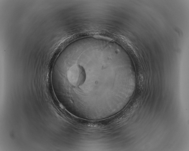 X0000115090596200911101525