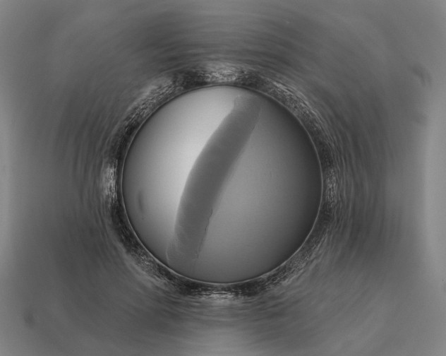 X0000115090598200911101525