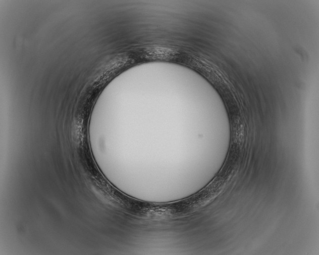 X0000115090599200911101525