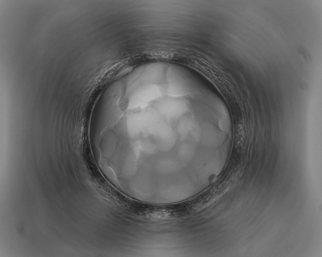 X0000115090600200911101525