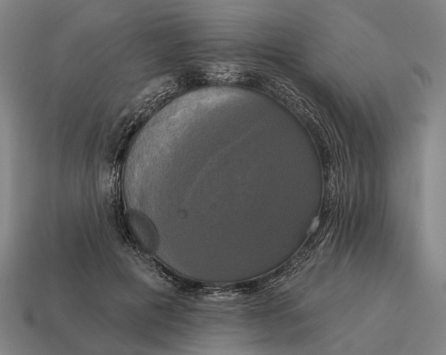 X0000115090601200911101525