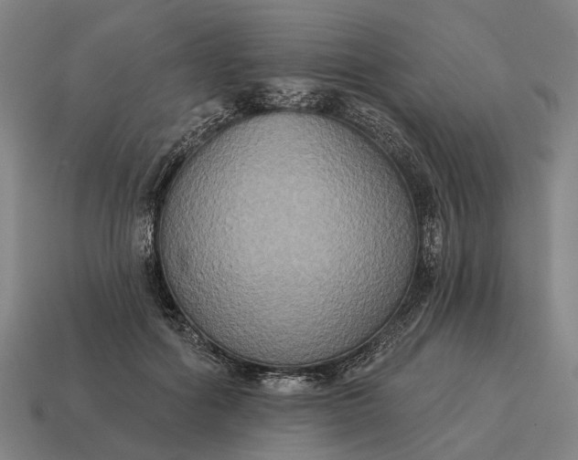X0000115090602200911101525