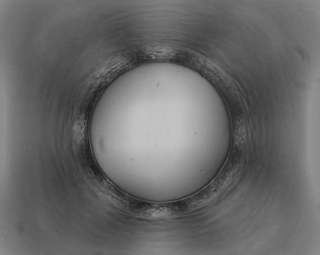 X0000115090604200911101525