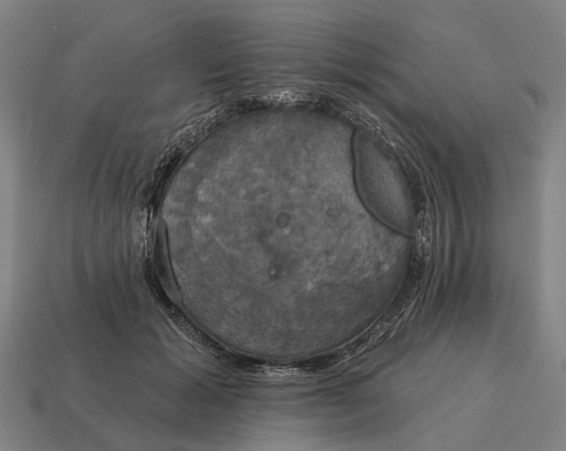 X0000115090605200911101525