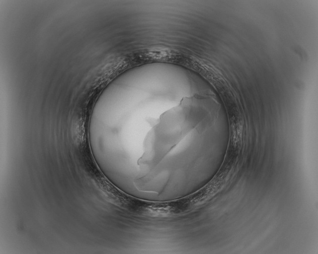 X0000115090606200911101525