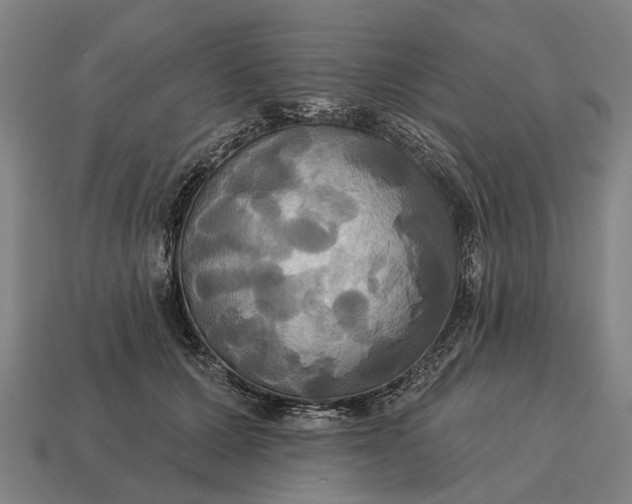 X0000115090607200911101525